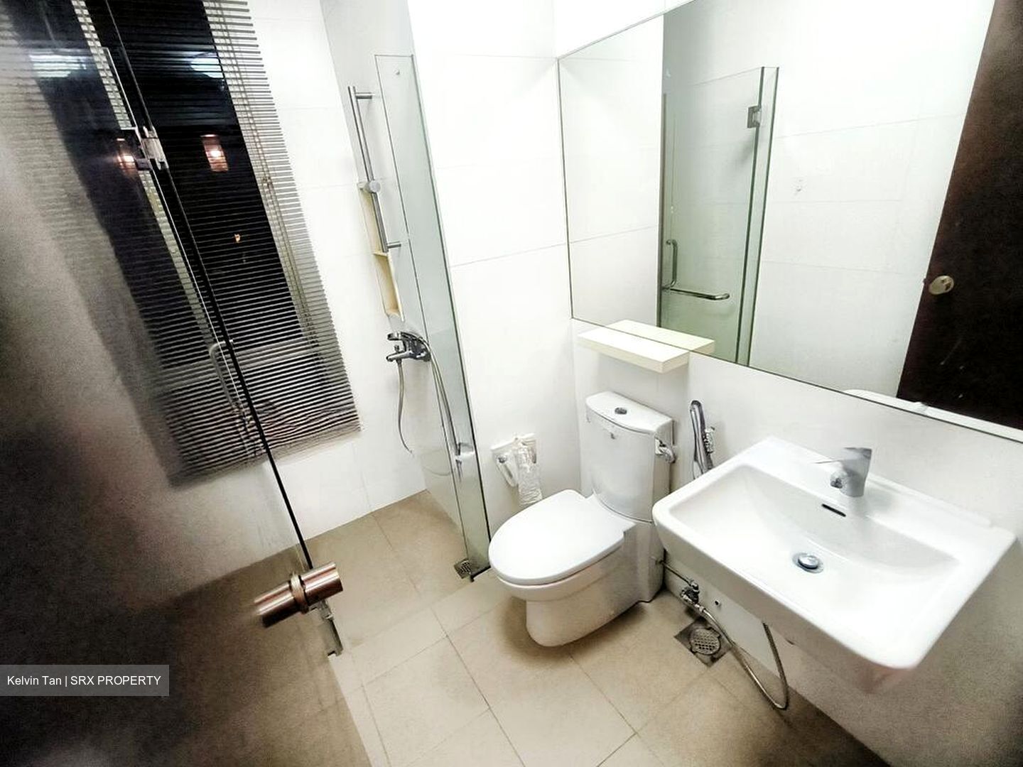 Le Reve (D14), Condominium #523079871